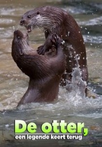 De otter, een legende keert terug
