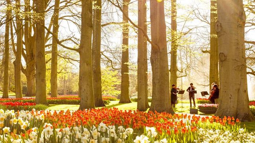 Een nieuwe lente, een nieuw geluid