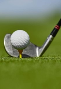 Golf: Dubai Championship