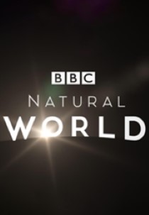 Iceland: Land of Ice and Fire - Natural World