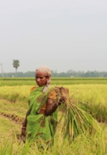 India's Wild Edens