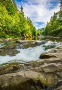 India's wild Karnataka