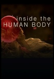 Inside the Human Body