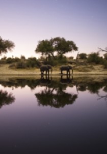 Into The Okavango