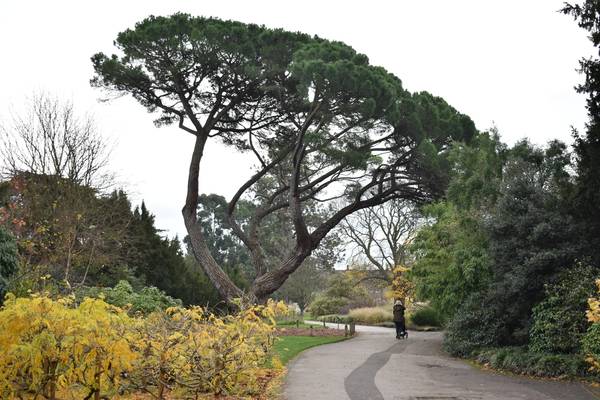 Kew Gardens: the four seasons