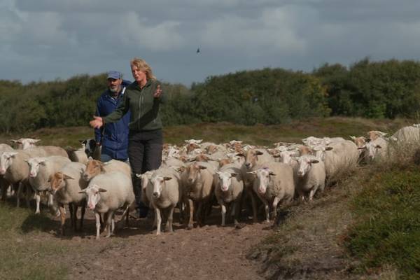 Mijn vlakke land