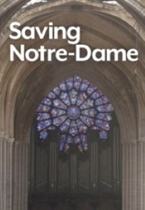 Saving Notre Dame