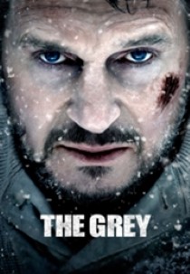 The Grey