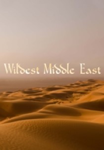 Wildest Middle East